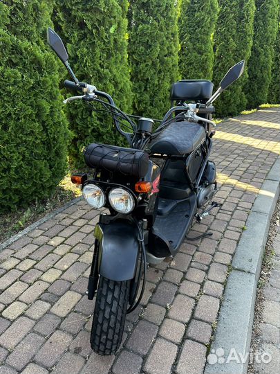 Honda zoomer af58