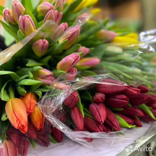 Хризантемы, Розы, Тюльпаны и т.д продажа,доставка