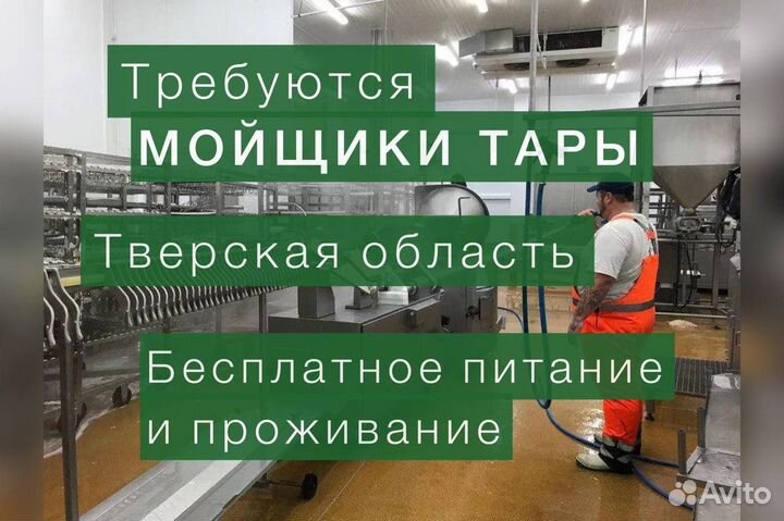 Работа с проживанием и питанием. Мойка тары