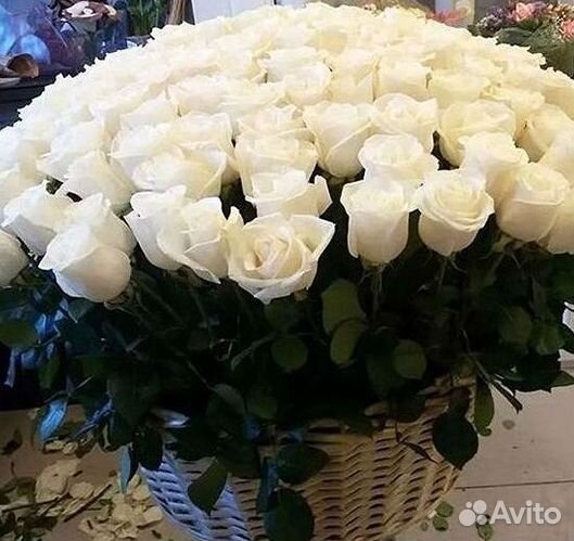 Высокие Высокие розы Гигантские розы Букеты Достав