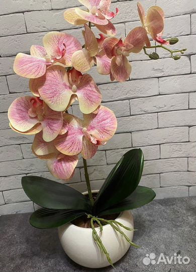 Интерьерная композиция из Орхидеи