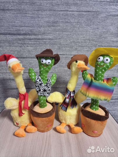 Танцующий кактус