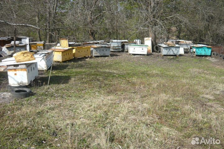 Ульи и другие принадлежности