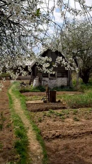 Участок 6 сот. (ИЖС)