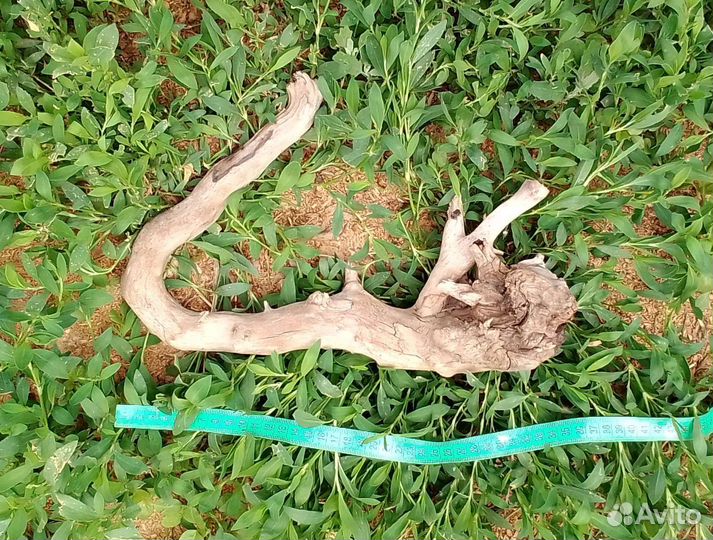 Коряги для декора