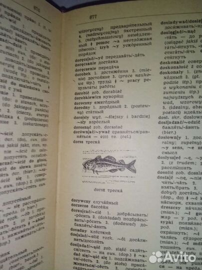 Словарь русско-польский, польско-русский