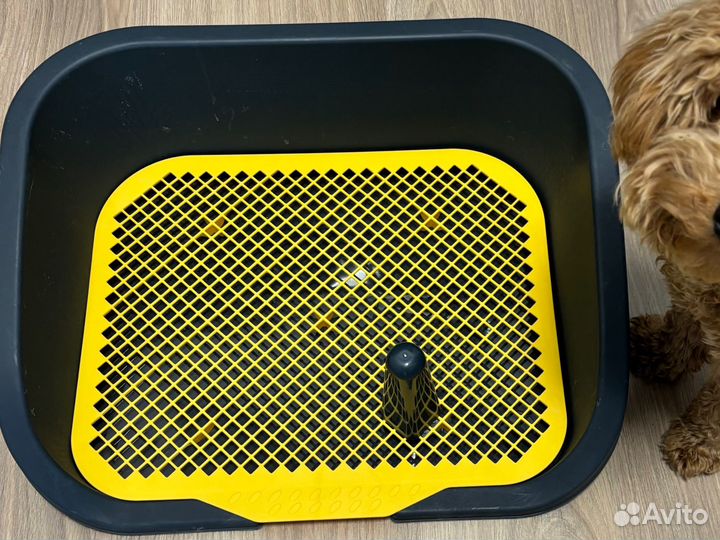 Лоток для собак со столбиком