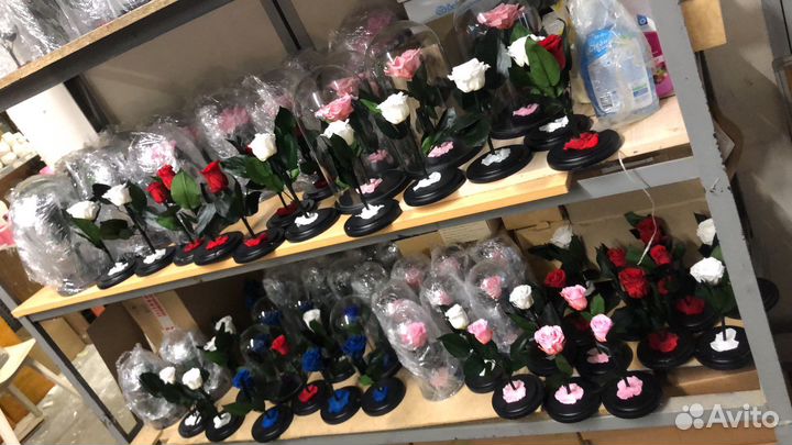 Розы в колбе оптом