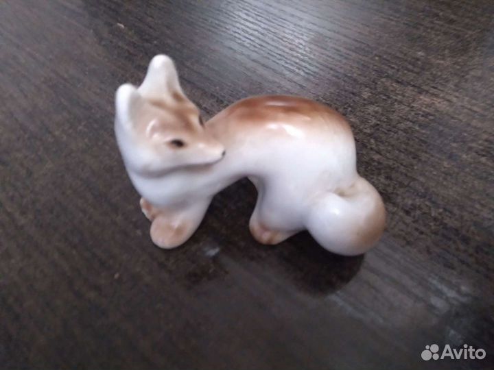 Лиса фарфоровая