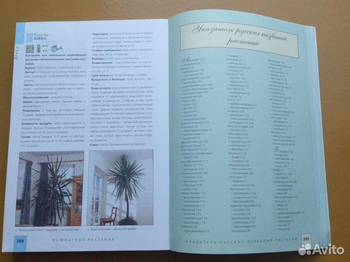 Комнатные растения