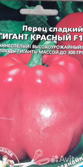 Рассада