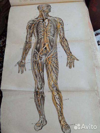 Медицинская литература