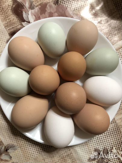 Молоко козье, домашние куриные яйца