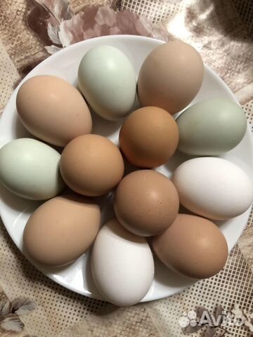 Молоко козье, домашние куриные яйца