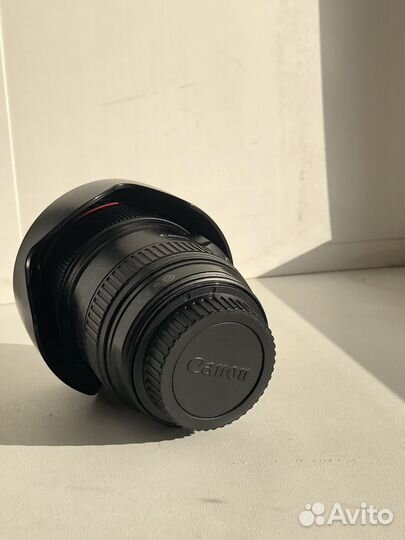 Canon 24-105 f4 L