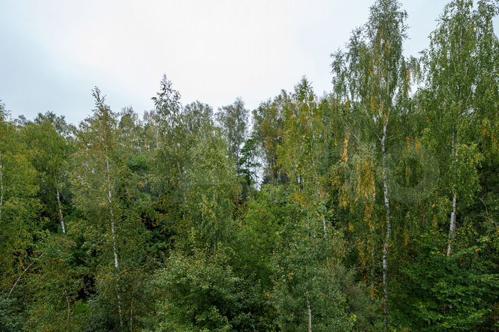 Дом 490 м² на участке 10,9 сот.