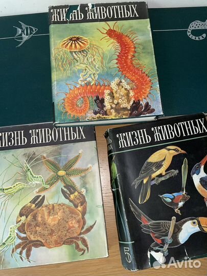 Энциклопедия Жизнь животных в 6 томах (7 книг)
