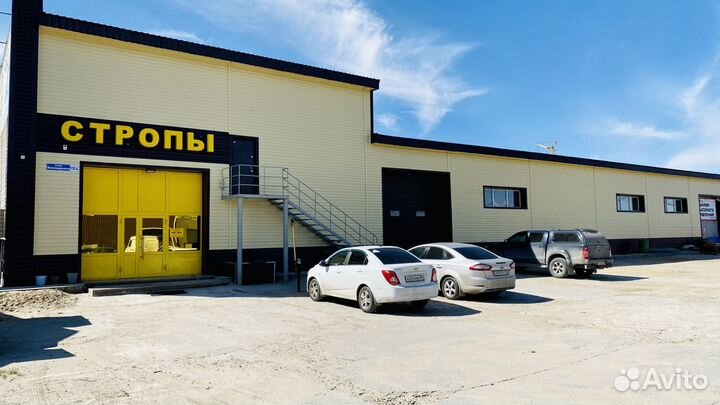 Подстропник скп