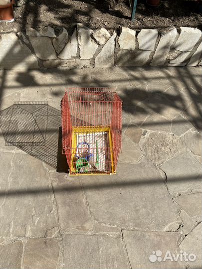 Клетка для попугая