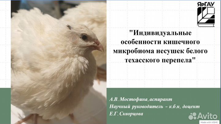 Создание презентаций