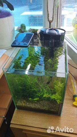Аквариум с фильтром и светом купить в Москве | Животные и зоотовары | Авито