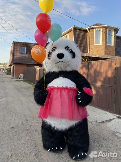 Поздравления от белого мишки и чебурашки