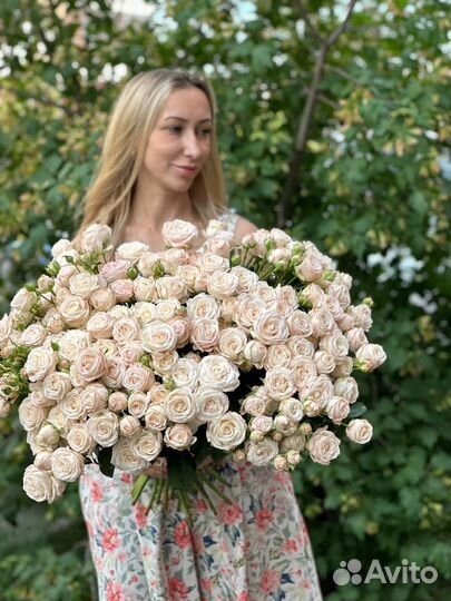 Шикарные пионовидные розы