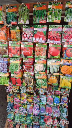 Семена на посадку