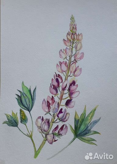 Акварель. Живопись. Картина 