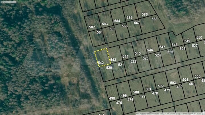 Участок 19,5 сот. (СНТ, ДНП)