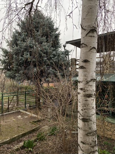 Дача 192 м² на участке 8 сот.