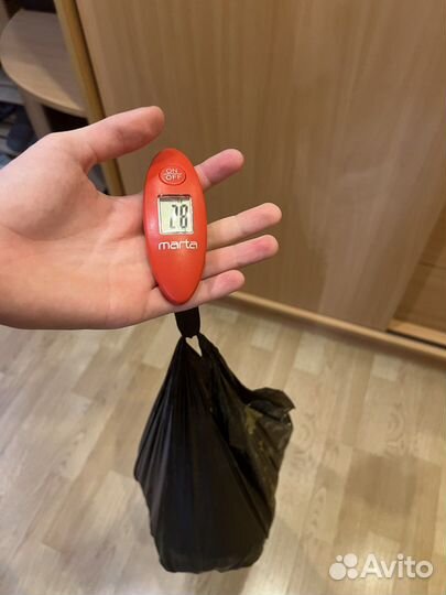 Ракушки для дизайна и творчества