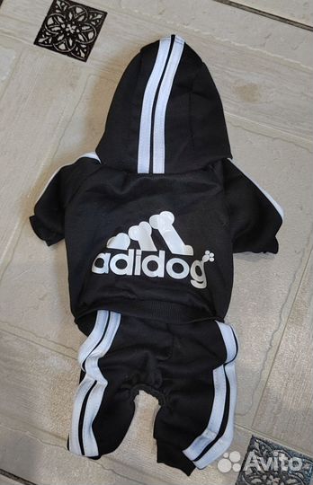 Одежда для собак мелких пород