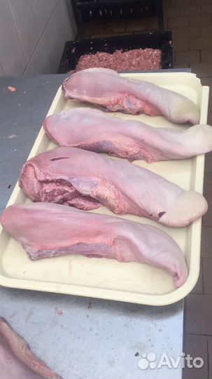 Язык говяжий