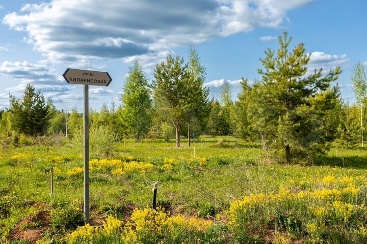 Участок 8 сот. (ИЖС)