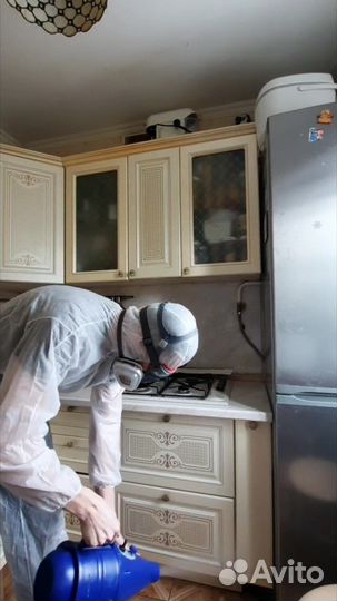 Уничтожение тараканов, клопов, плесени, крыс, блох