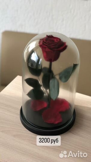 Роза в колбе