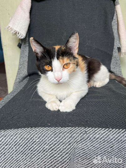 Маргоша на счастье