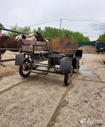 Экипажи для лошади