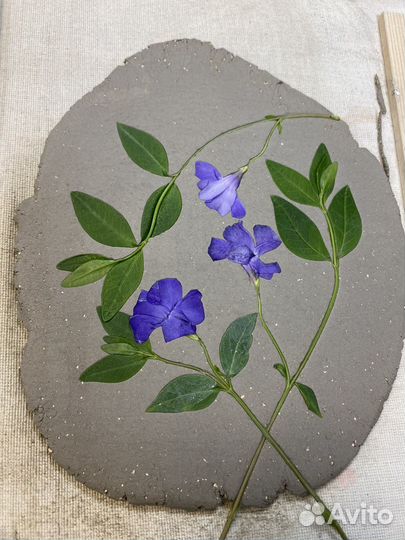 Мастер класс 