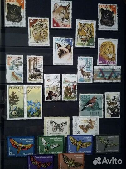 Марки Болгария, Гдр,Польша, Куба, Вьетнам, СССР