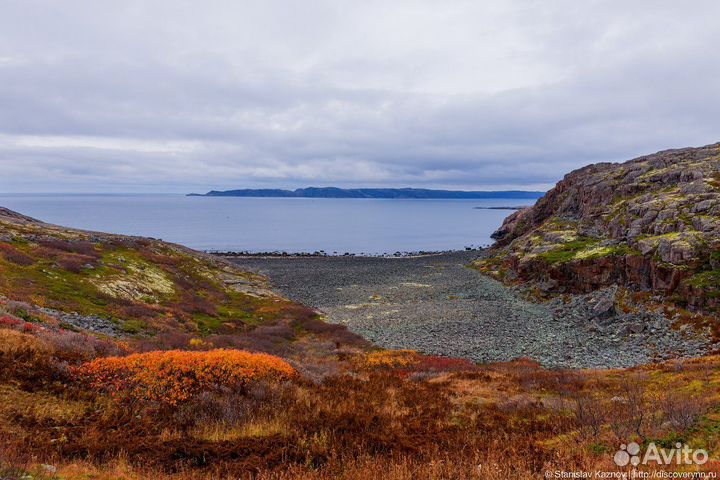 Тур в Териберку +поиск китов