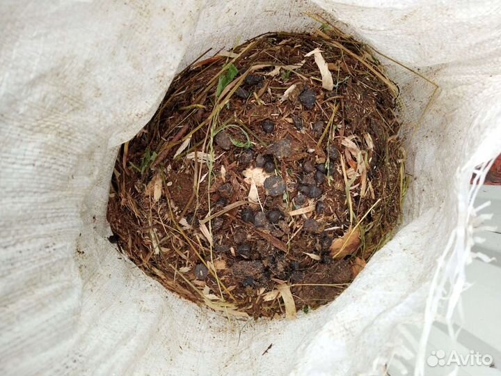 Козий навоз