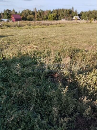 Участок 14,96 га (ИЖС)