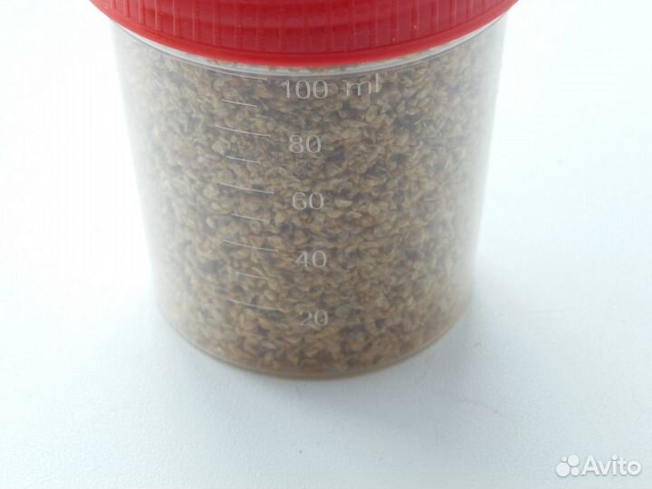 Растения улитки Дафния