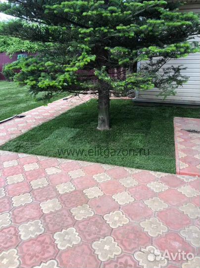 Рулонный газон напрямую от производителя