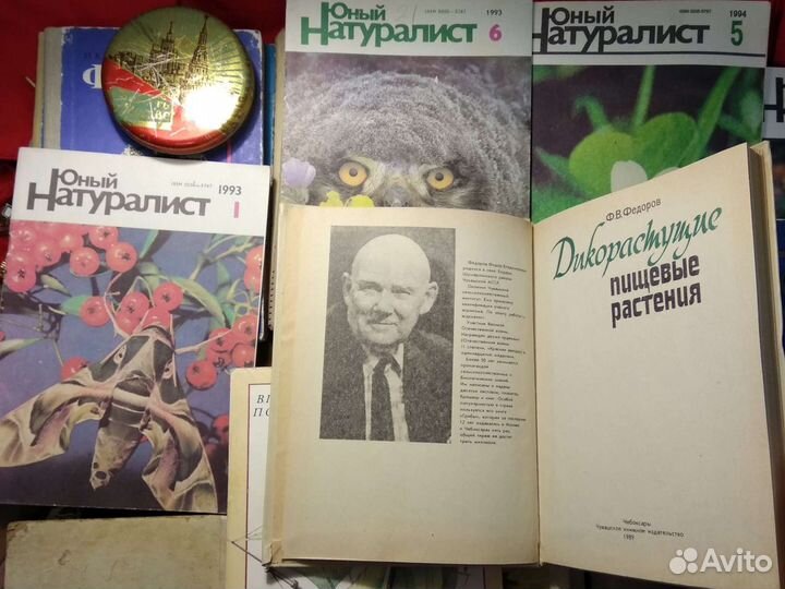 Дикорастущие пищевые растения книга СССР