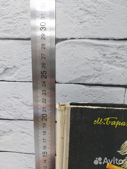 Баранова М. Тяпа, Борька и ракета