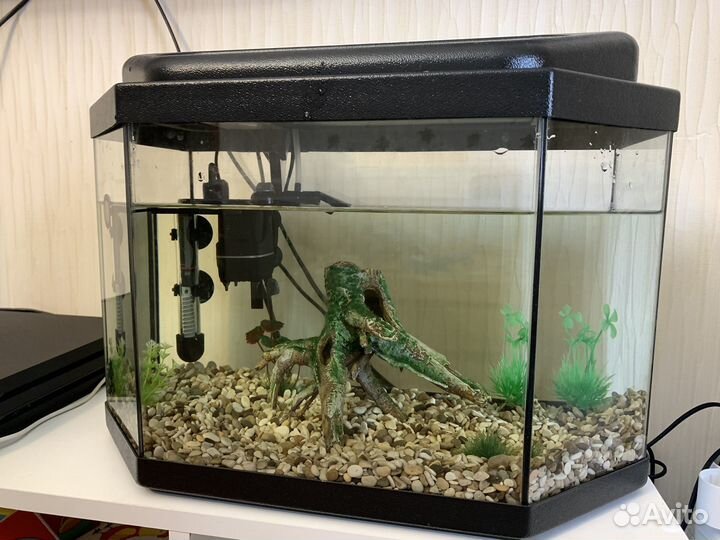 Автокормушка для рыб, аквариум