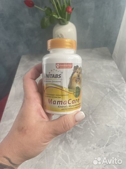 Витамины для беременных и кормящих собак